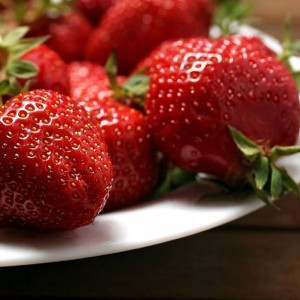 Клубника  Лорд  (упаковка 5 шт.)