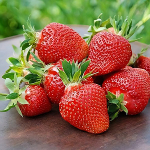 Клубника (крупноплодная) Клери 5 шт. в упаковке