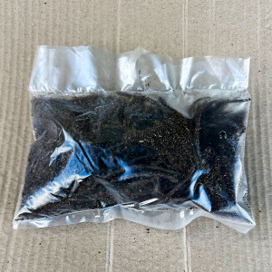 Пион Йеллоу